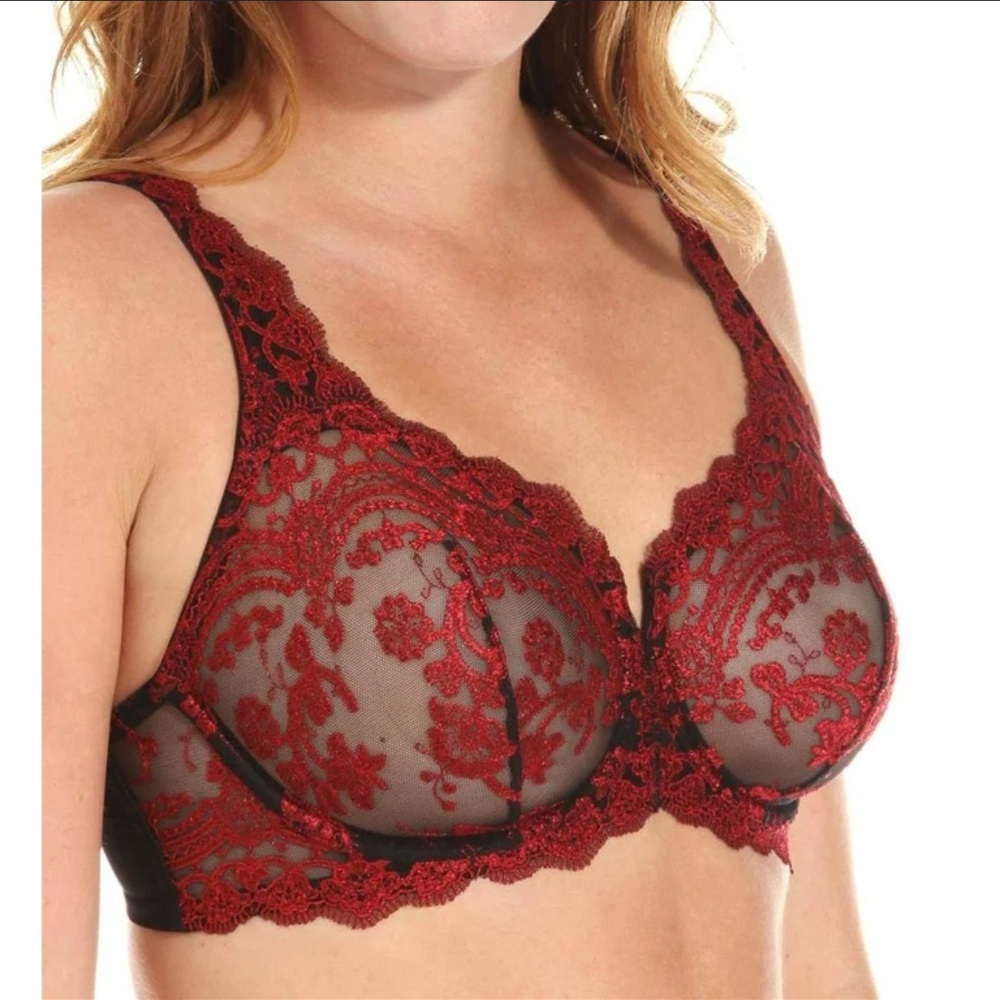 Lunaire 36 DD Lace Embroidered Bra Luxurious Red Burgundy and Black‎ Underwire
